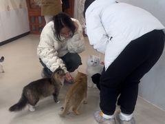 -共舞时光猫咖·狗咖(新街口店)