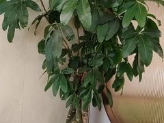 -李先生牛肉面大王(华联商厦店)