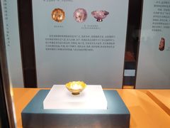 -安徽省地质博物馆