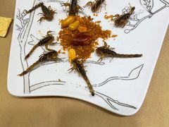 -了能菜·传统特色粤菜·虫宴