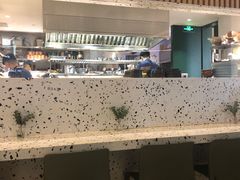 -gaga(深圳福田星河COCO Park店)