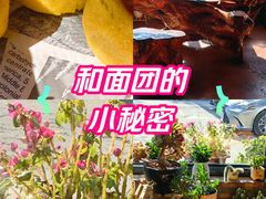 -遇见小院—虹鳟鱼•农家菜(怀柔店)
