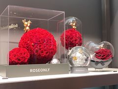 -ROSEONLY诺誓(广州K11店)