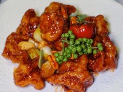 -羲和雅苑•北京烤鸭(国贸商城店)