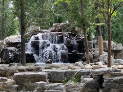 -北京野生动物园