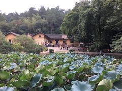 -韶山毛泽东同志故居