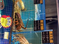 水产区-庆赫隆融合菜馆(群力店)