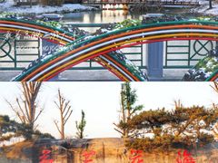 -荷兰花海
