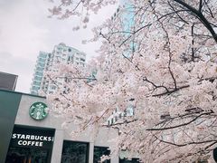 -玛格萝妮比萨屋(四平店)