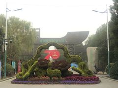 -溱湖国家湿地公园