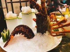 -甄御•海鲜新青岛菜(麦岛店)