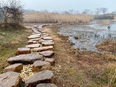 -盘龙城国家考古遗址公园