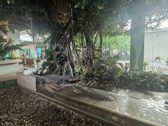 -中国湿地博物馆