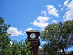 -永定河休闲森林公园