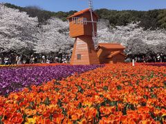 -苏州上方山国家森林公园