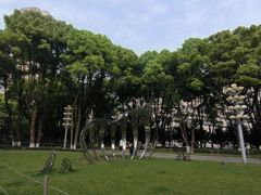 -重庆市江北嘴中央商务区中央公园