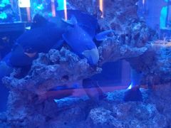 -上和臻品中国菜(花园街店)