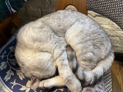 -不舍昼夜咖啡馆