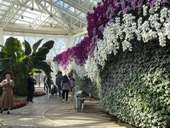 -石家庄市植物园