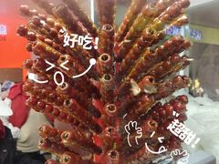 -和禄德冰糖葫芦(东四朝内菜市场店)