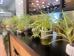 -813芭依珊 BAESAn(皇冠十畝地店)