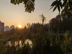 -四海公园(南山区)