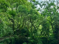 -楠溪江风景名胜区