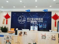 -芭比堂动物医院·24小时·眼科中心(深圳中心)