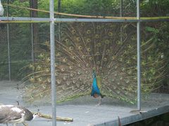 -福建鲤鱼洲酒店