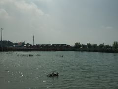-卧龙湖
