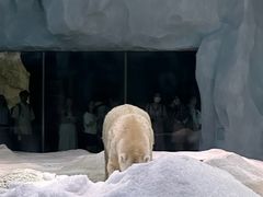 -珠海长隆海洋王国