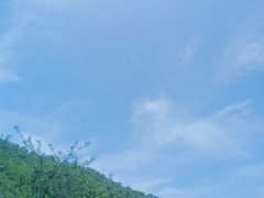 -关山草原