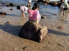 -广东惠东海龟国家级自然保护区