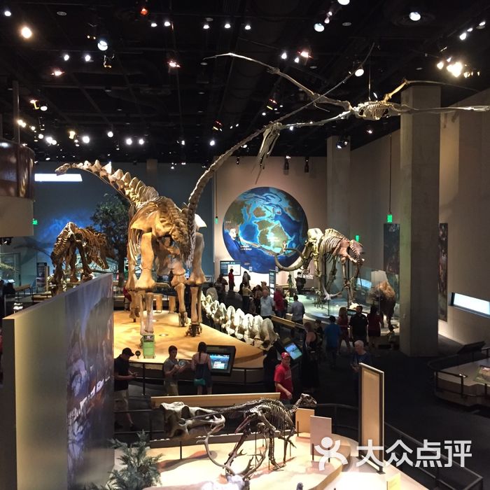 science museum图片,sciencemuseum 佩洛特自然科学博物馆