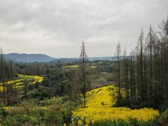-樱桃山旅游景区