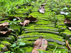 -丽泽山庄·生态怀柔菜·虹鳟鱼(红螺寺店)