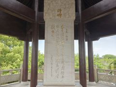 -观潮胜地公园