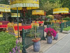 -白家大院·王府宫廷菜(苏州街店)