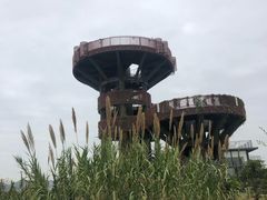 -芒洲湿地公园
