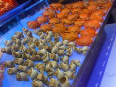 -马哥孛罗酒店·SAVVY全日餐厅