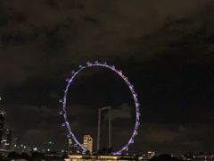 -新加坡摩天观景轮