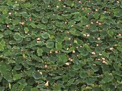 -白鹭湾湿地公园