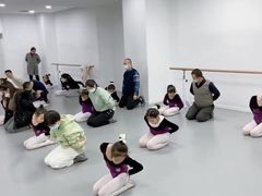 -西安小天鹅艺术团(金花路校区)