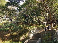 -攀枝花公园