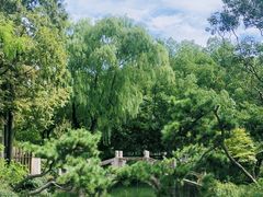 -上海醉白池公园