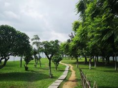 -松山湖南湖湾露营营地