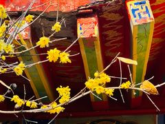 -西安大兴汤院遗址公园