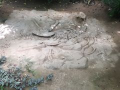 -呀路古热带植物园-恐龙馆