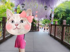 -厦门方特水上乐园