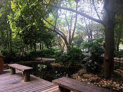 -成都市活水公园